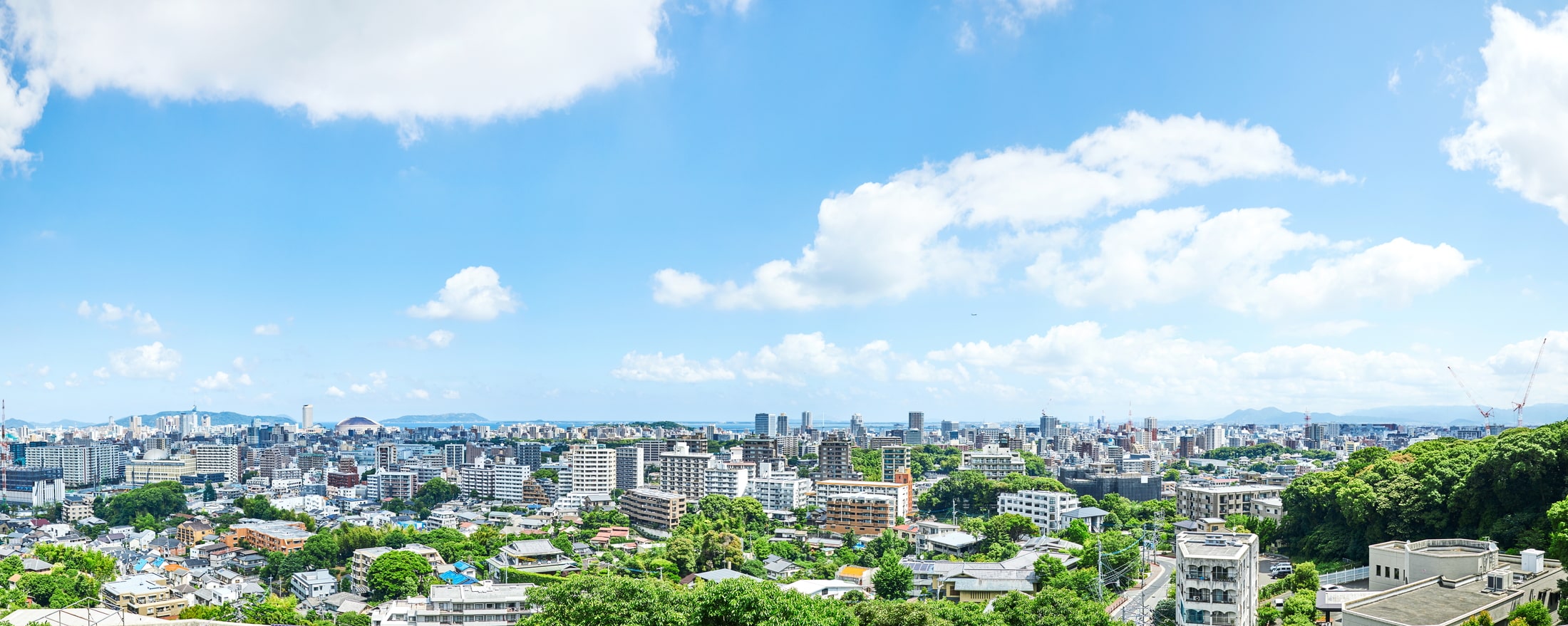 防災・減災・災害復興支援